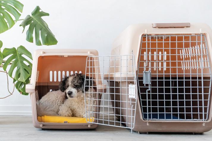 Smalldog Petcage