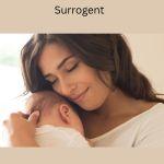 Surrogacy Agency