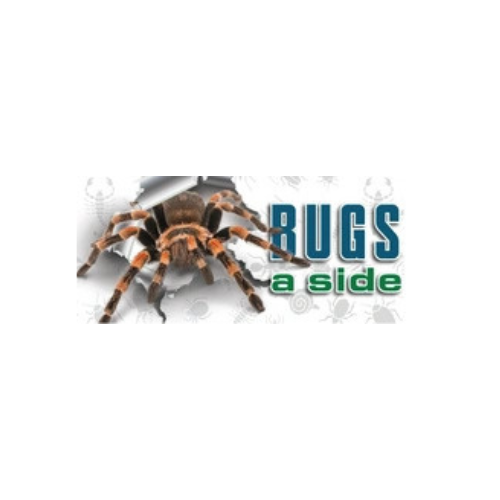 BugsASide PestControl