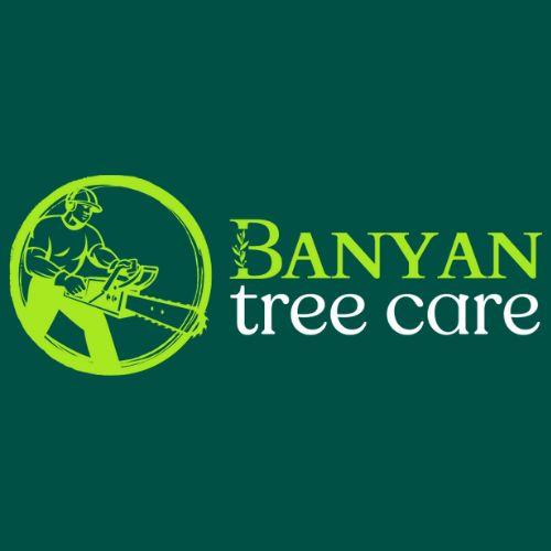 Banyan Treeremoval