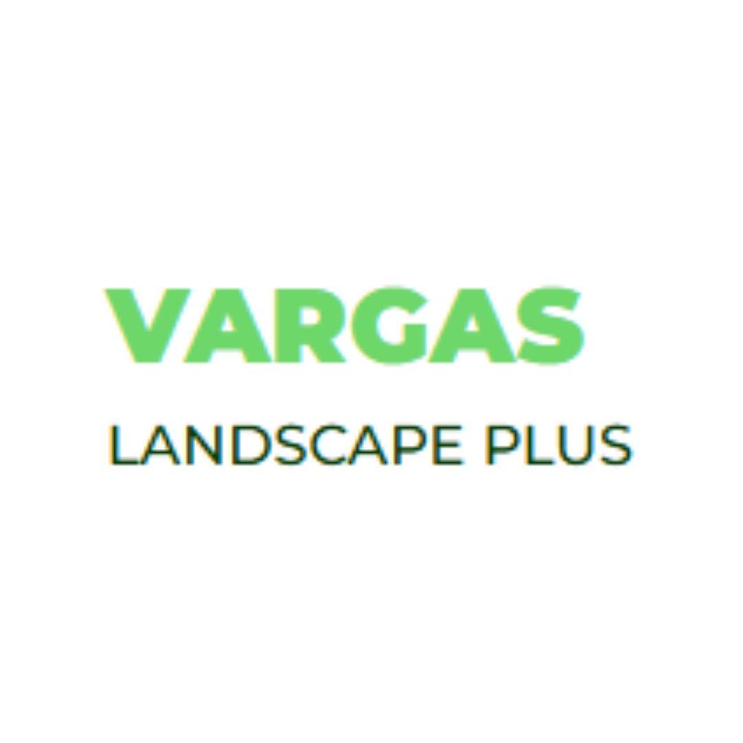 Vargas Landscape