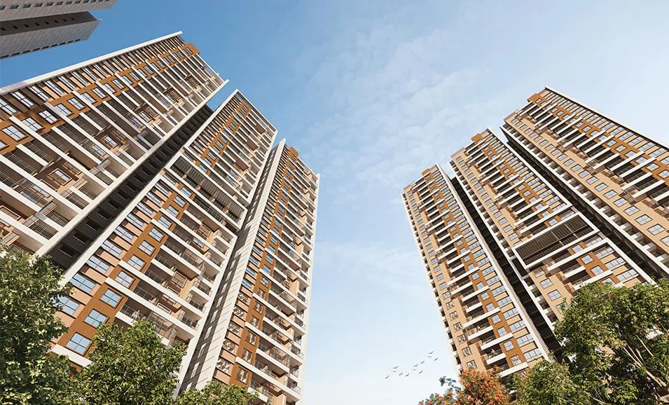 TheRightLife NeoBuild